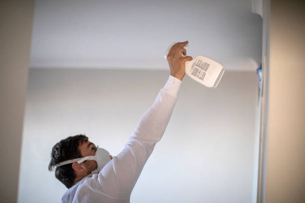 Best Toxic Mold Removal  in Batesville, TX