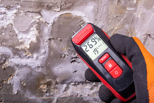 Best Mold Testing  in Batesville, TX