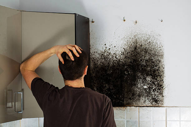 Best Office Mold Removal Services  in Batesville, TX